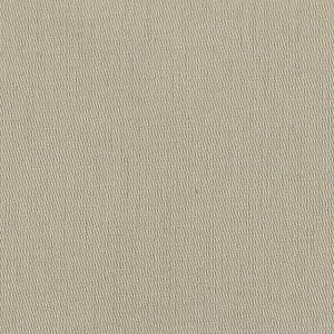 【ナプキン】コンフェティ ナクレ