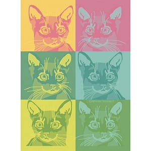 【キッチンタオル】シャシャシャ ポップ