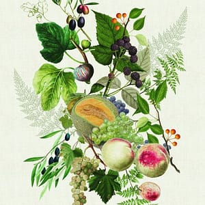 【キッチンタオル】アボンダンス  ドトンヌ  ナチュレル