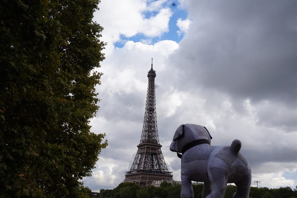 ガルニエ・ティエボー　2018 戌